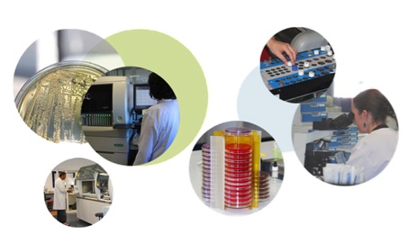 accreditation laboratoire analyses medicales